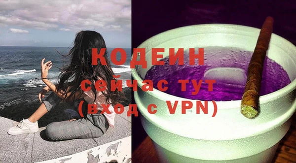 спайс Гусь-Хрустальный